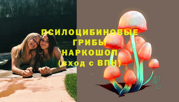 ALPHA-PVP Белокуриха