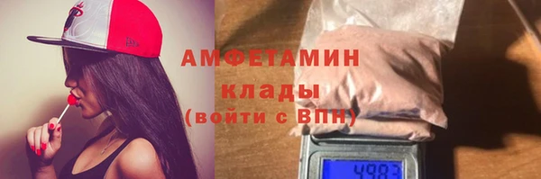 шишки Беломорск