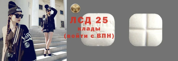 шишки Беломорск