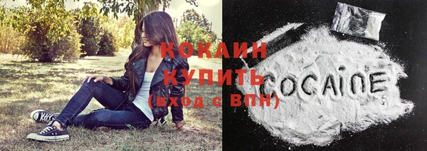 шишки Беломорск
