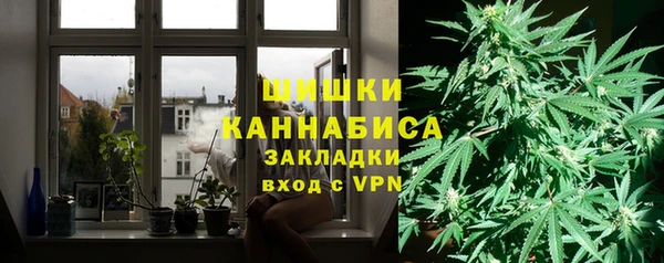 шишки Беломорск