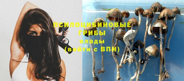 ALPHA-PVP Белокуриха