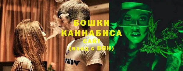 шишки Беломорск