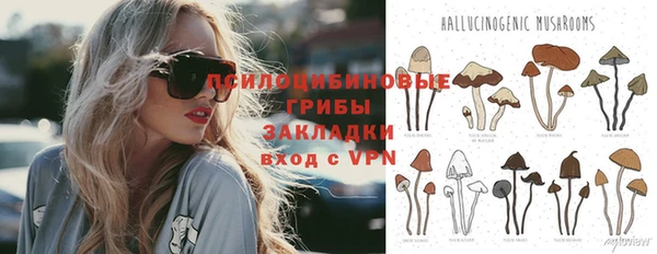ALPHA-PVP Белокуриха