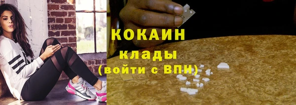 шишки Беломорск